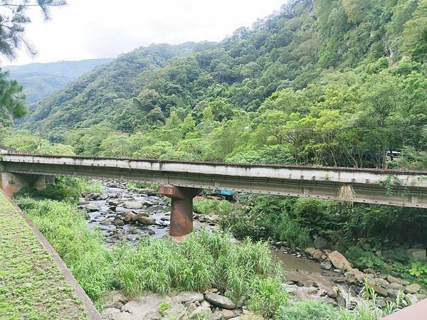 [新竹景點]入門級森林步道-尋找青蛙王子