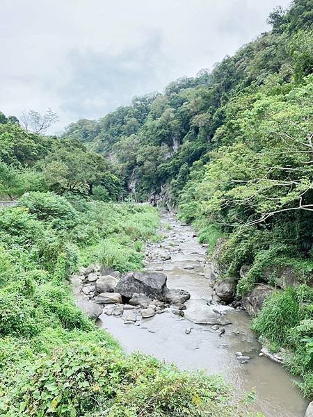 [新竹景點]入門級森林步道-尋找青蛙王子