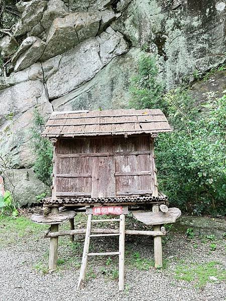 [新竹景點]入門級森林步道-尋找青蛙王子