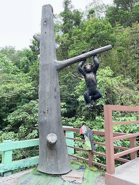 [新竹景點]入門級森林步道-尋找青蛙王子