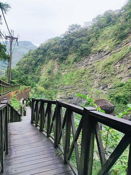 [新竹景點]入門級森林步道-尋找青蛙王子