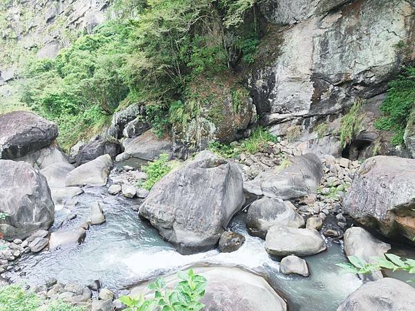 [新竹景點]入門級森林步道-尋找青蛙王子