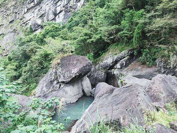 [新竹景點]入門級森林步道-尋找青蛙王子