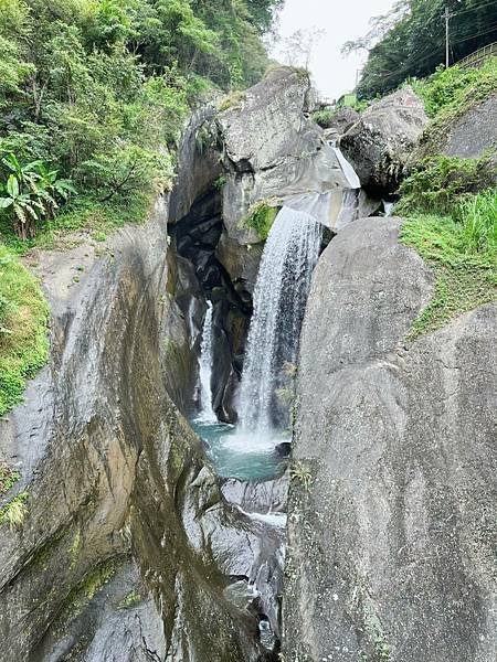 [新竹景點]入門級森林步道-尋找青蛙王子