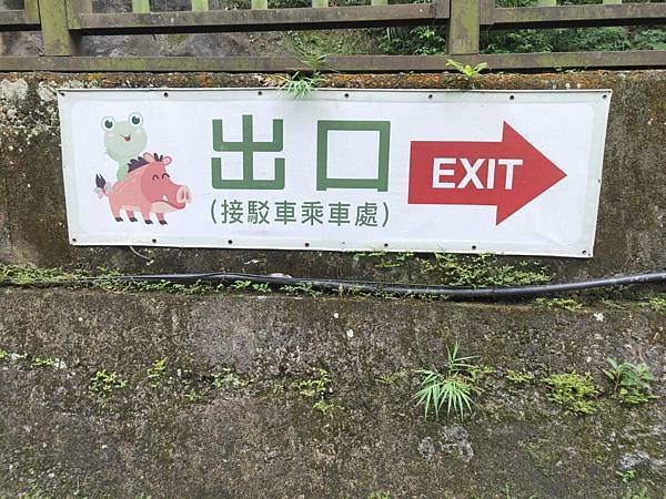 [新竹景點]入門級森林步道-尋找青蛙王子