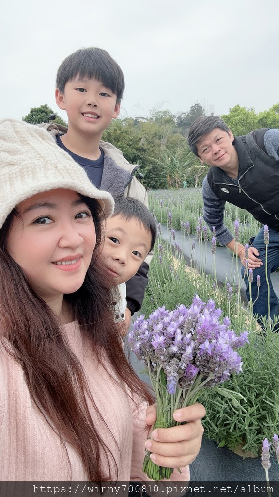 苗栗／頭屋景點薰衣草導覽【葛瑞絲香草田】3~5月薰衣草花季免