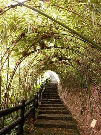 霽月步道(陳家農場旁)