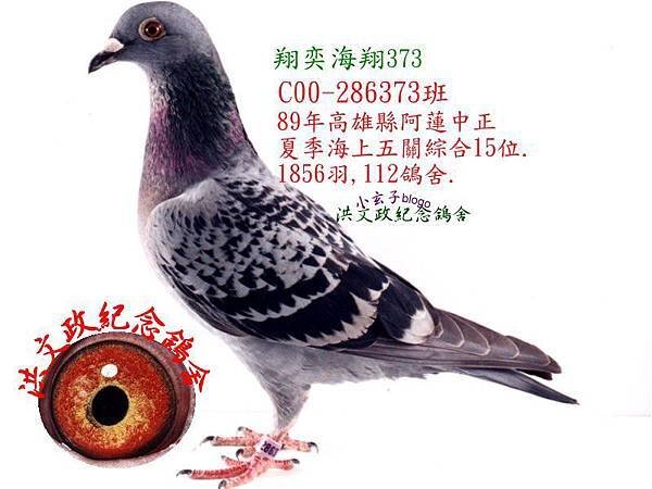 286373