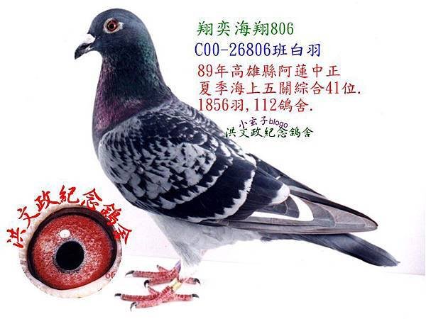 286806