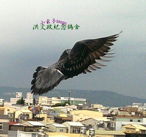 02.jpg