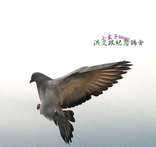 05.jpg