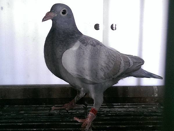 71