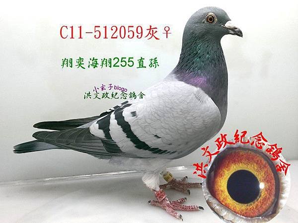512059
