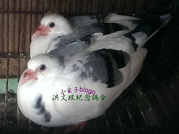 963669670