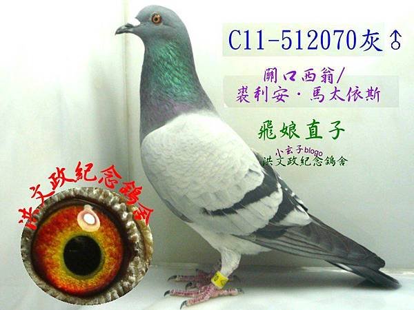 512070