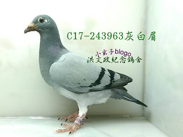243963 (1)