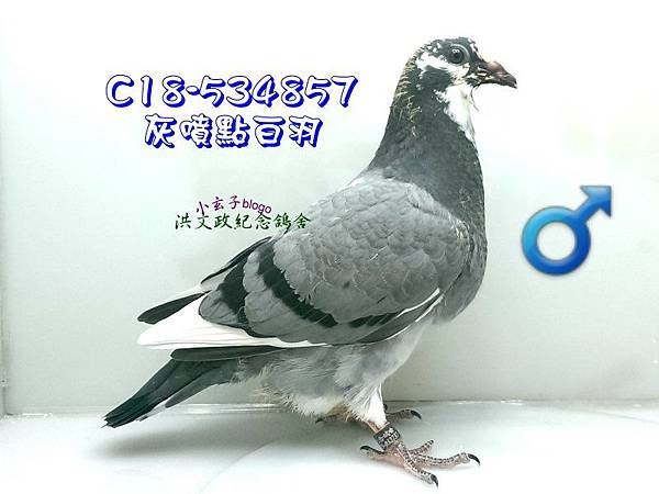 534857 (2)