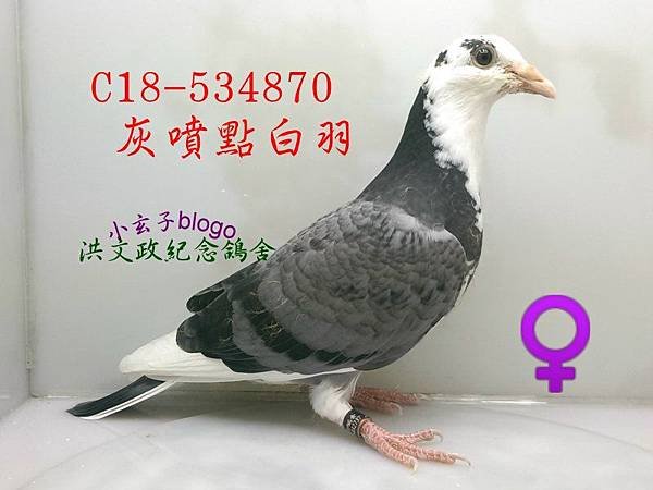 534870 (2)