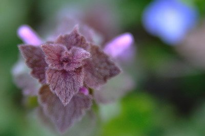 DSC_0151.jpg
