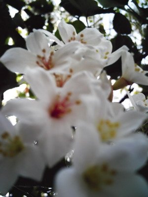IMAG0535.jpg