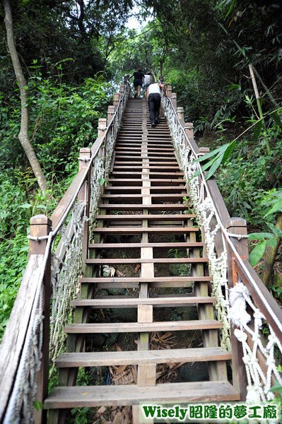 大坑十號登山步道