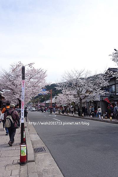 DSC08938_副本.jpg