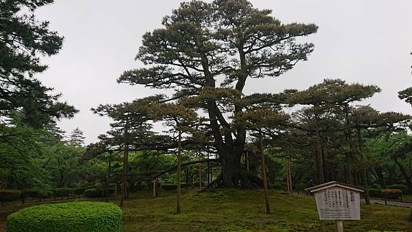 DSC_0979.JPG