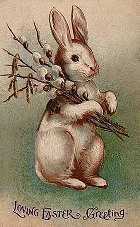 Easter_Bunny_Postcard_1907.jpg