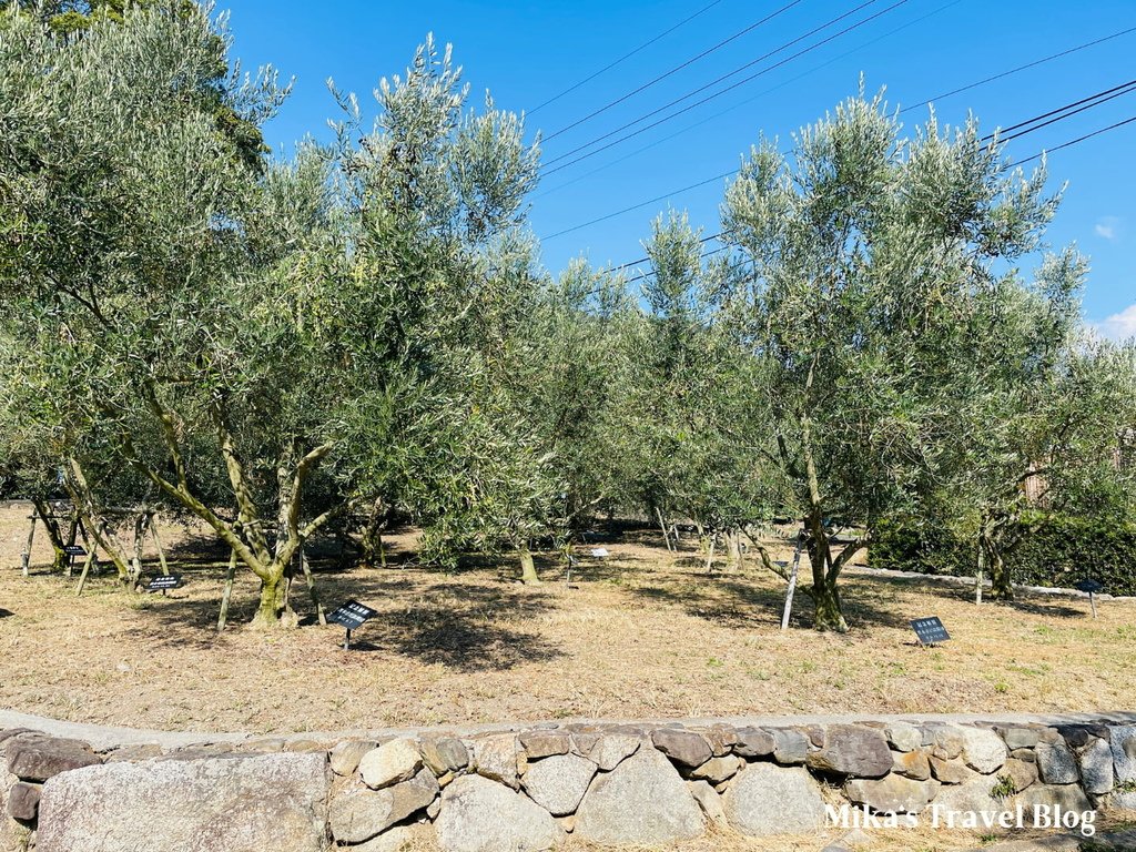 [日本香川景點] 小豆島橄欖公園 ＠ 宮崎駿「魔女宅急便」電