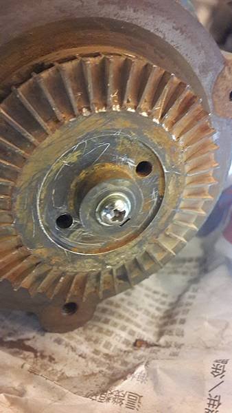 20170227_125128.jpg