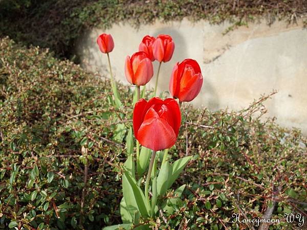 36 20150429 瑪莉安斯基