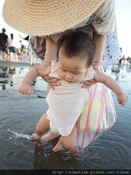 2017-0610 高美濕地08