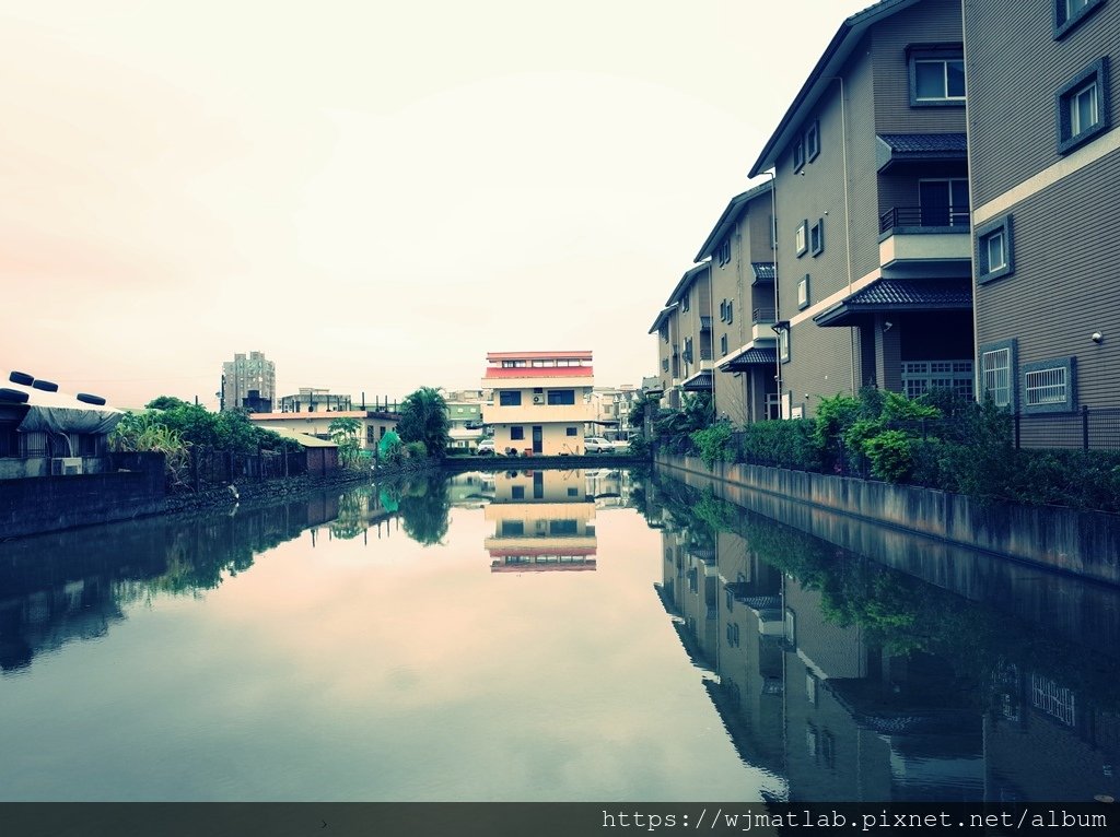 羅東運動公園落羽松21.JPG