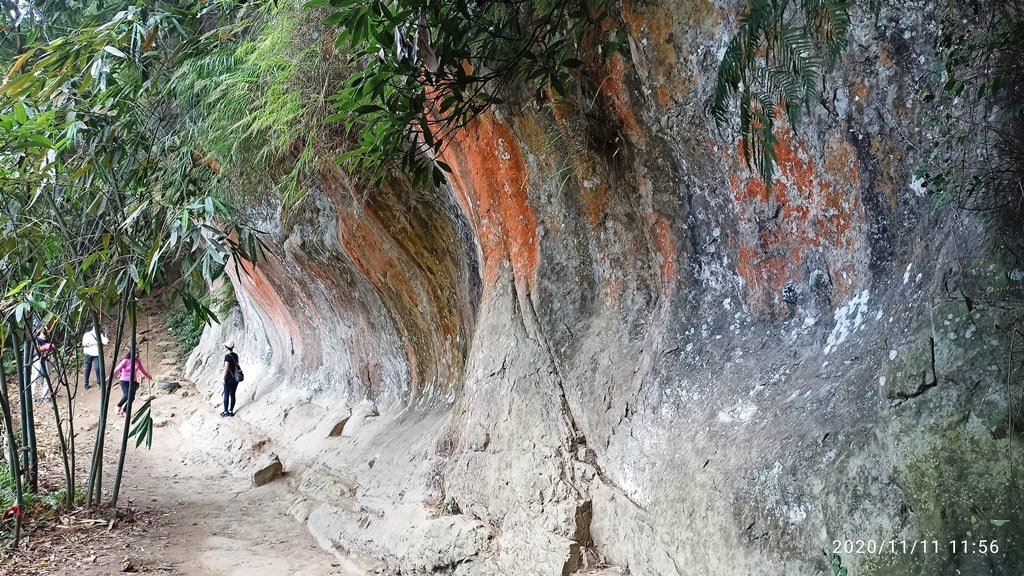 2020-1111 三峽鳶山 彩壁12.jpg