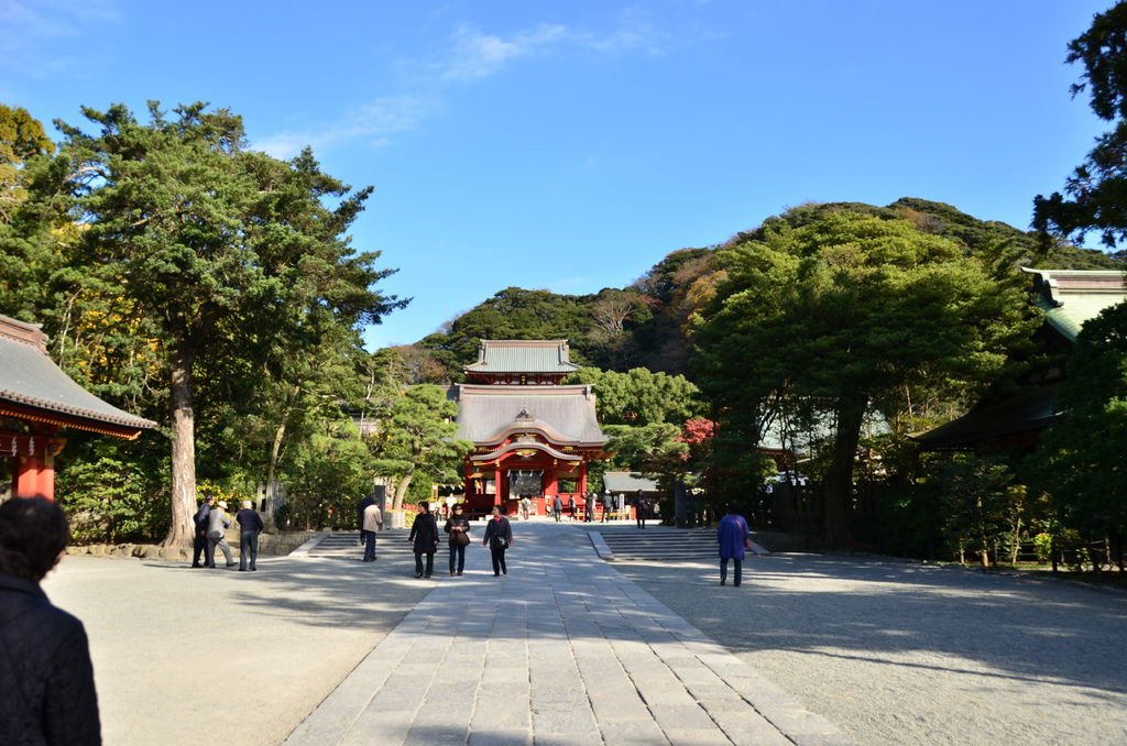 DSC_8361.JPG