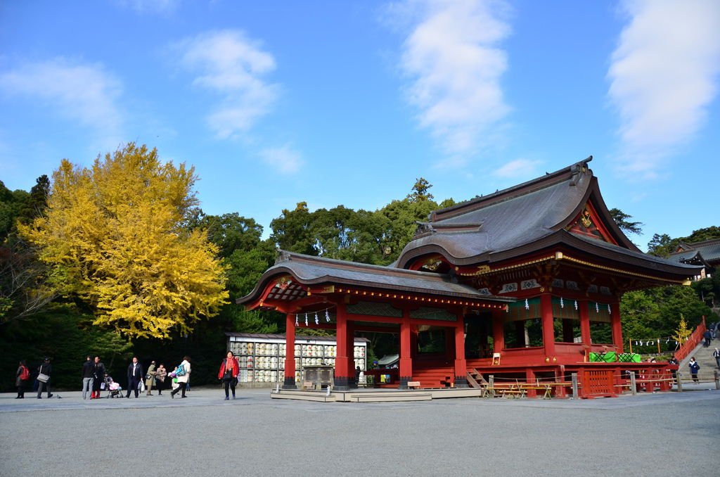 DSC_8364.JPG