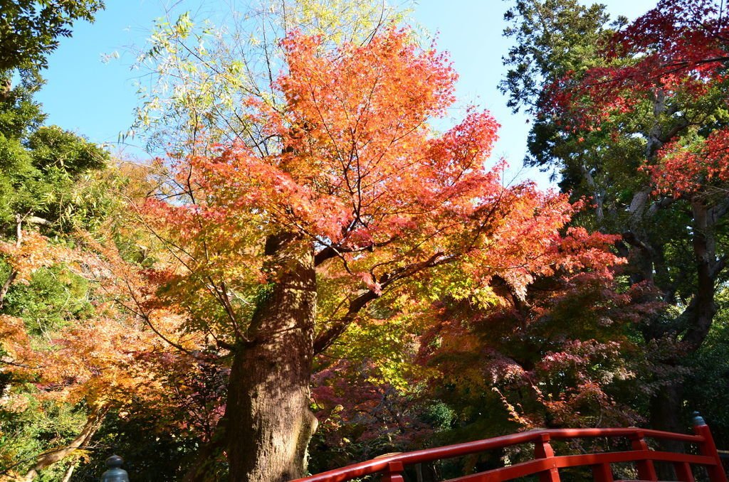 DSC_8383.JPG