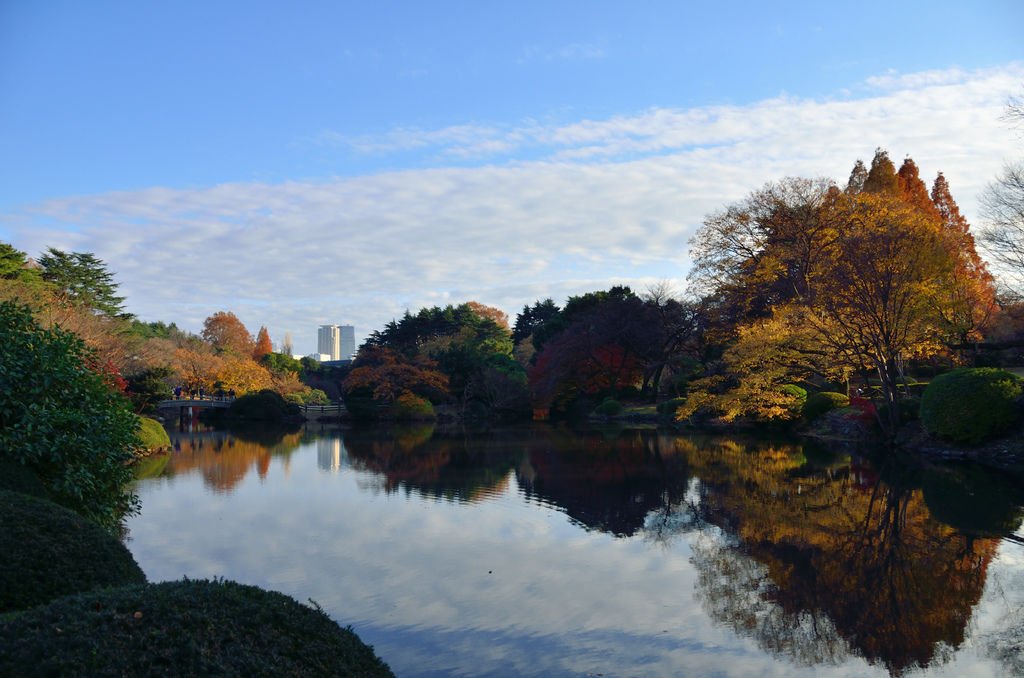 DSC_8486.JPG