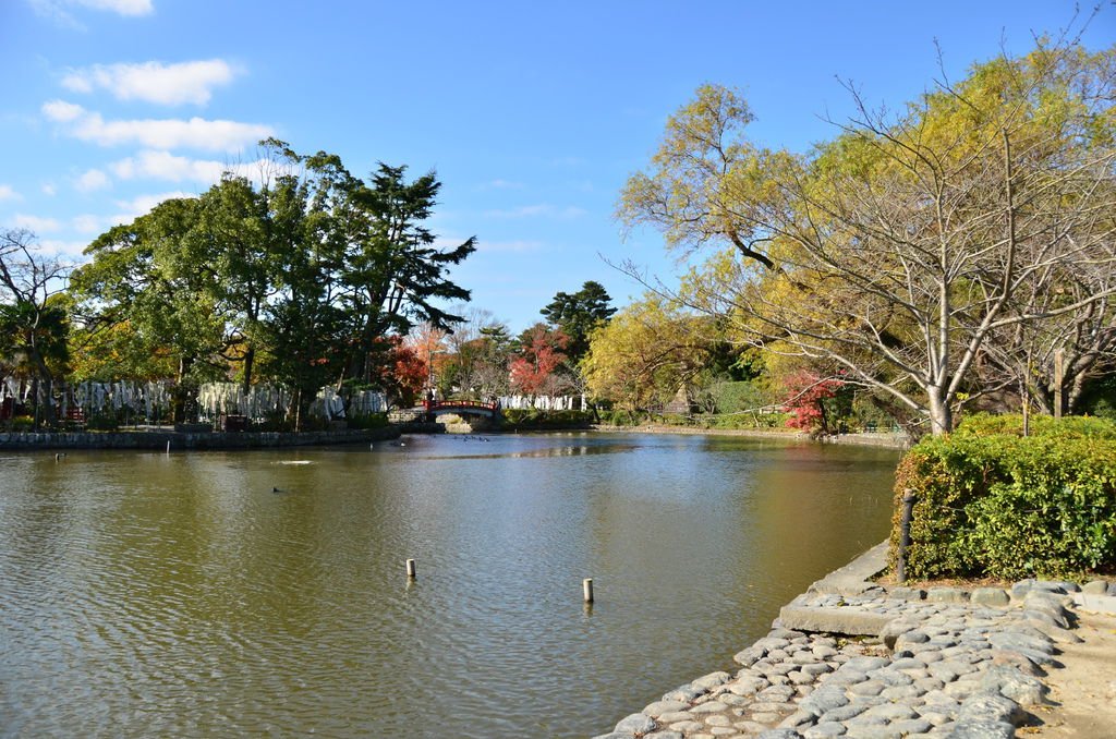 DSC_8402.JPG