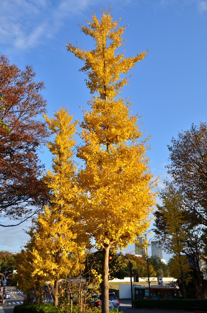 DSC_8506.JPG