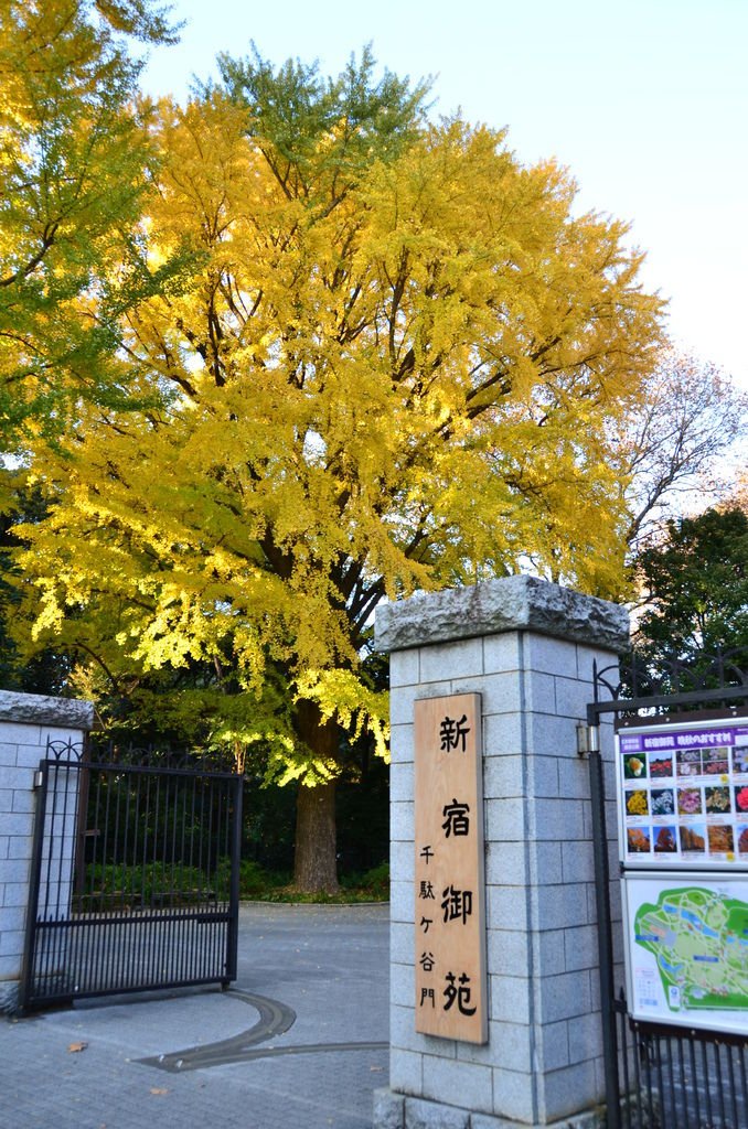 DSC_8503.JPG