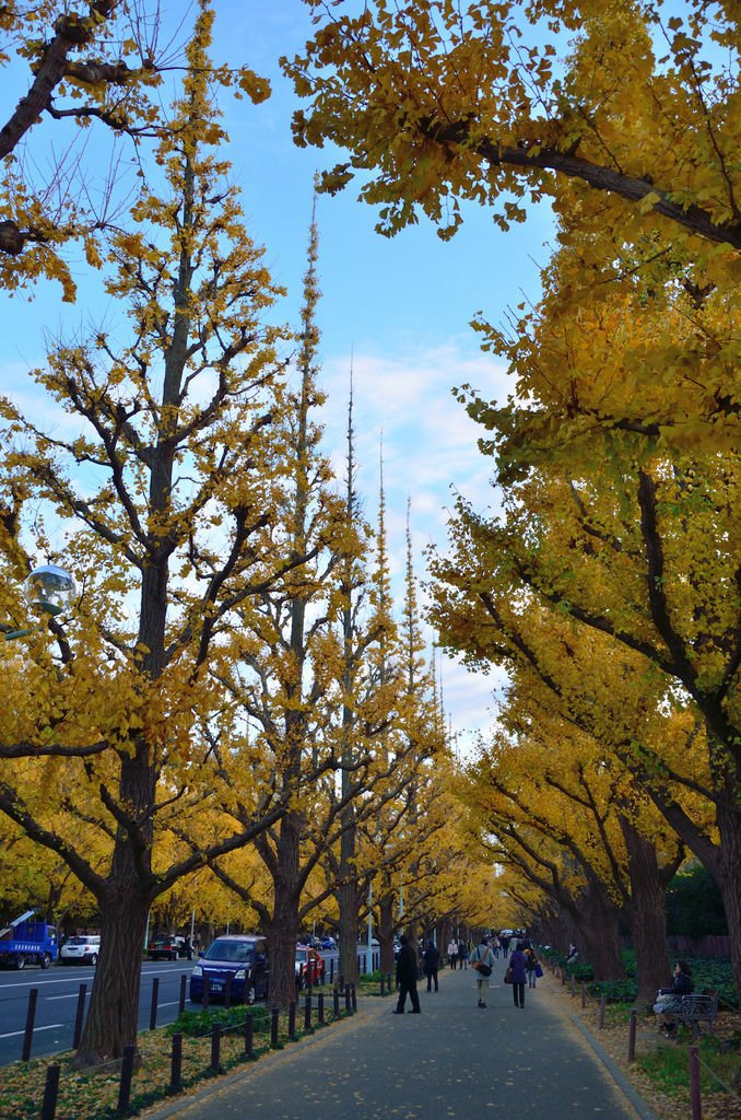 DSC_8526.JPG