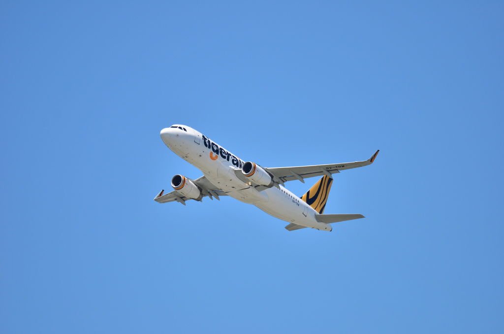 DSC_9674.JPG