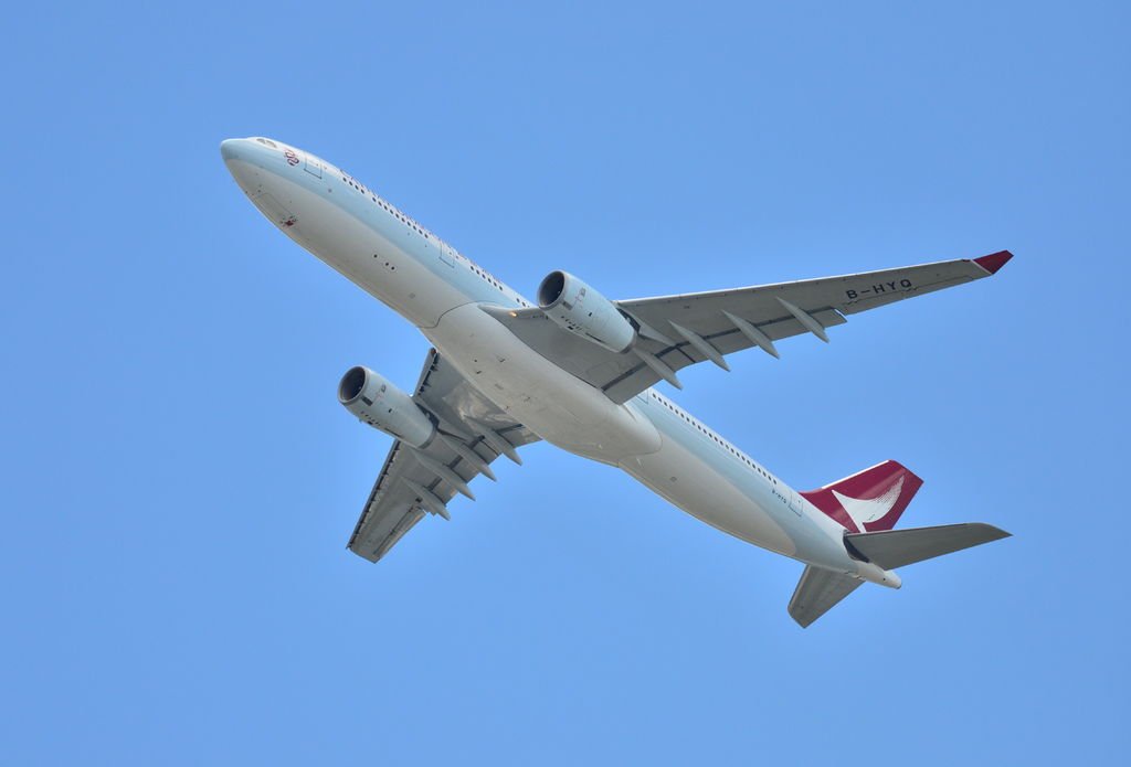 DSC_9788.JPG