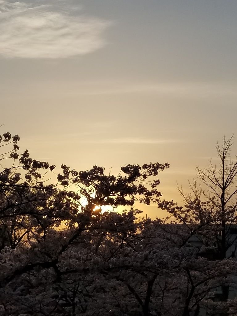 20180422_174537.jpg