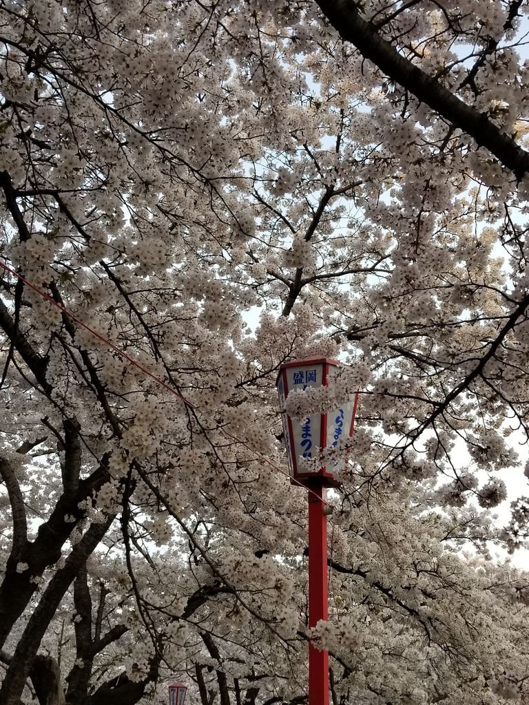 20180422_175415.jpg