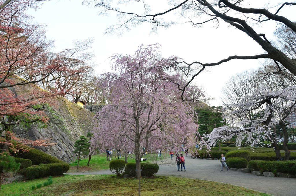 DSC_6098.JPG