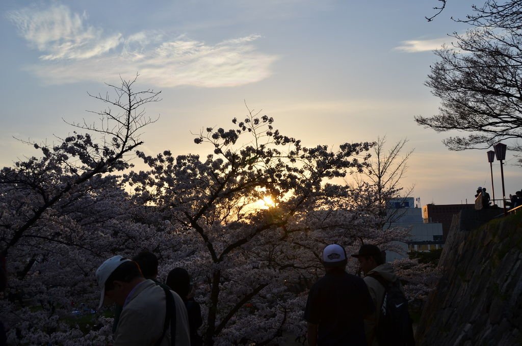 DSC_6103.JPG