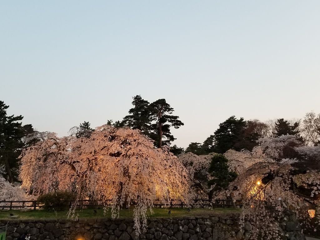 20180426_183012.jpg