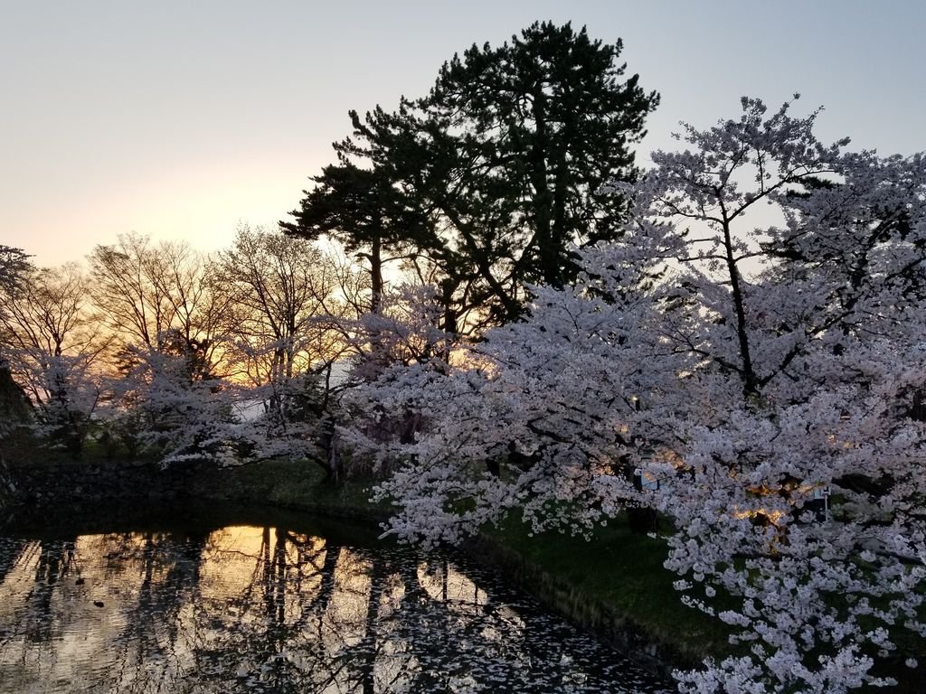 20180426_181351.jpg